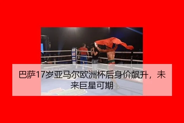ba-sa-sui-ya-ma-er-ou-zhou-bei-hou-shen-jia-biao-sheng-wei-lai-ju-xing-ke-qi-2-803.jpg