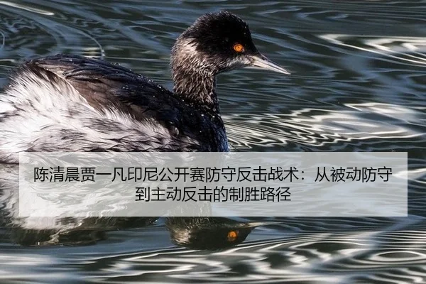 chen-qing-chen-jia-yi-fan-yin-ni-gong-kai-sai-fang-shou-fan-ji-zhan-shu-cong-bei-dong-fang-shou-dao-zhu-dong-fan-ji-de-3-819.jpg