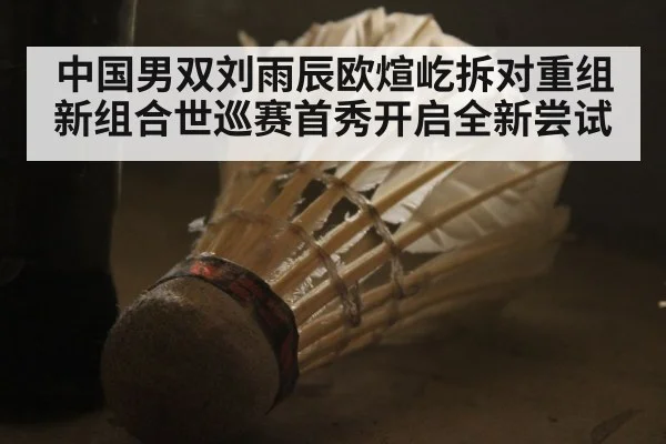 中国男双刘雨辰欧煊屹拆对重组新组合世巡赛首秀开启全新尝试